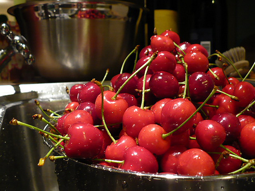Some cherries from the July 2 pick