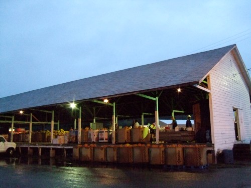 The produce auction barn
