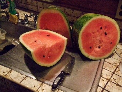 Delicious watermelon!